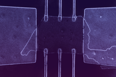 Rasterelektronenmikroskop-Aufnahme einer exfoliierten PtBi₂-Nanostruktur